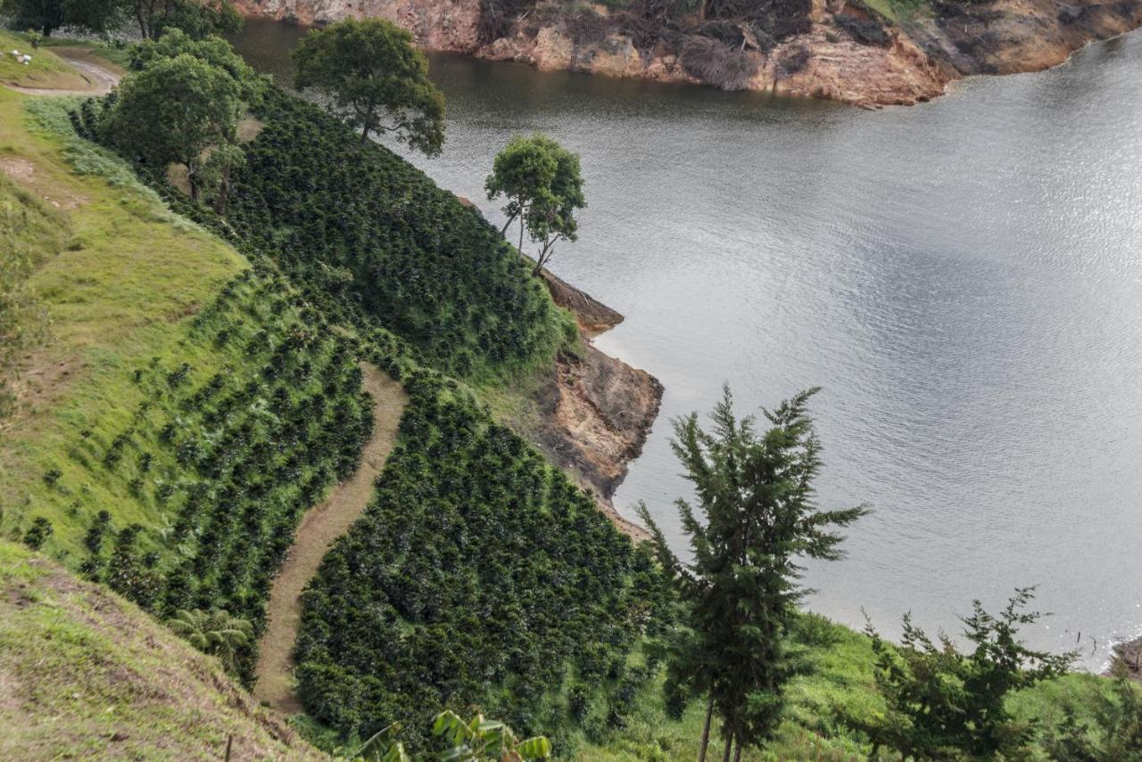 El Penol  Finca Casa Lomaゲストハウス エクステリア 写真